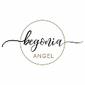 Begonia Angel