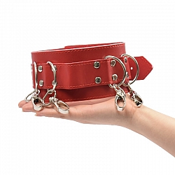 A-One - SM藝術 Joint 005 頸銬 A-One - SM藝術 Joint 005 頸銬