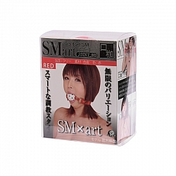 A-One - SM藝術 Joint 003 口塞