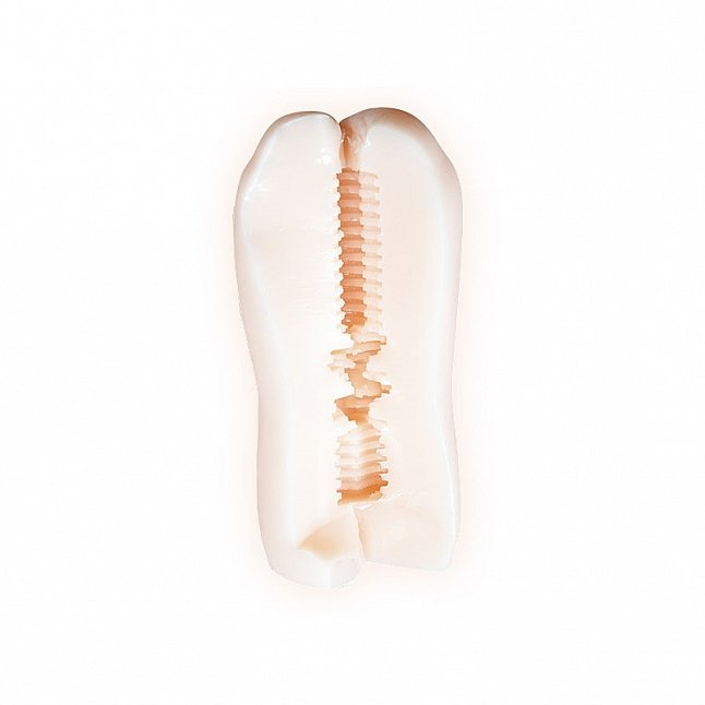 18DSC,成人用品,A-One - OVA聖華女学院公認的男娼部 學生會會長 露易絲 (ルイーザ・リヒター),4582474864037