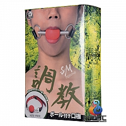 A-One - SM 調教 圓形口枷