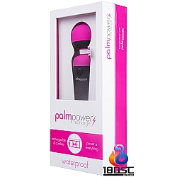 palmpower - The PalmPower Recharge Massage Wand