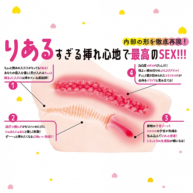 18DSC,成人用品,EXE - 完美的真實 (りある the りある),4582593592026