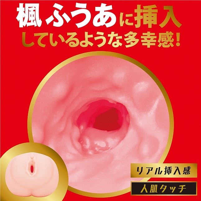 18DSC,成人用品,EXE - Japanese Real Hole 激 楓富愛 (楓ふうあ) 名器,4582616146472