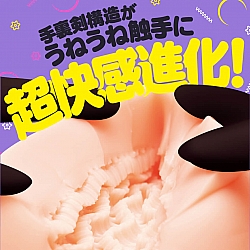 EXE - 淫亂忍法 肉穴手裏劍(くノ一淫法 ぷに手裏剣 ばーじんソフト) 名器