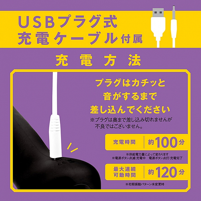 18DSC,成人用品,EXE - 完全防水 遠隔絕頂 無線遙控擺動震動前列腺按摩器,4582593598981