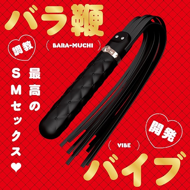 18DSC,成人用品,EXE - 2 WAY BARA-MUCHI VIBE 鞭子震動按摩棒,4582616142825