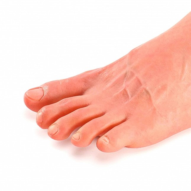 18DSC,Sex Toys,Royal Kraken - Realistic Male Foot Dildo Hybrid,LJ-MFD