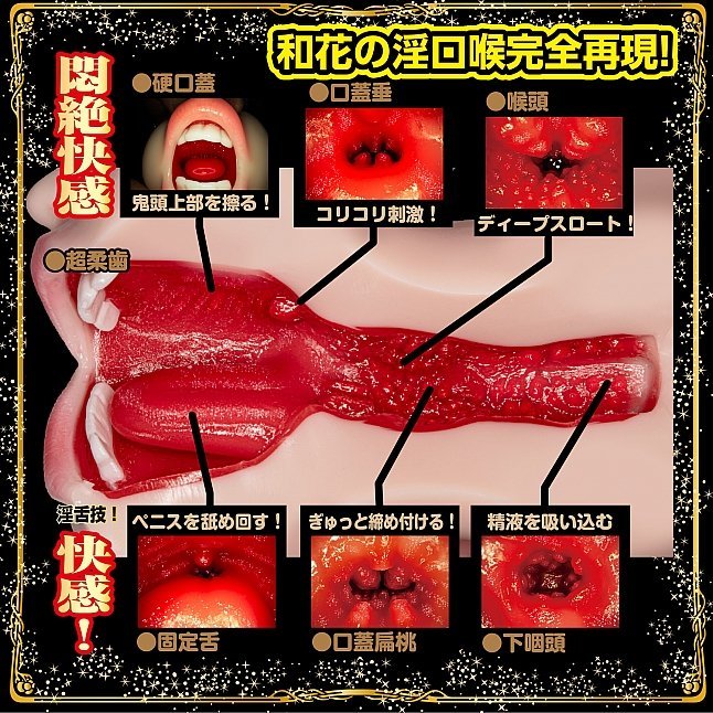 18DSC,成人用品,NPG - 極致口交 淫蕩嘴 美園和花,4570099420424