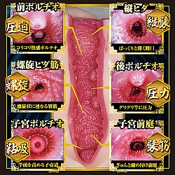 NPG - 真 名器 1 今井夏帆 NPG - 真 名器 1 今井夏帆