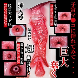 NPG - 真素人名器 月酱