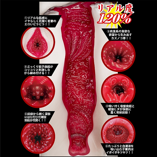 18DSC,成人用品,NPG - 完熟名器物語 爆乳若妻 安齋らら (安齋拉拉),4562160138635