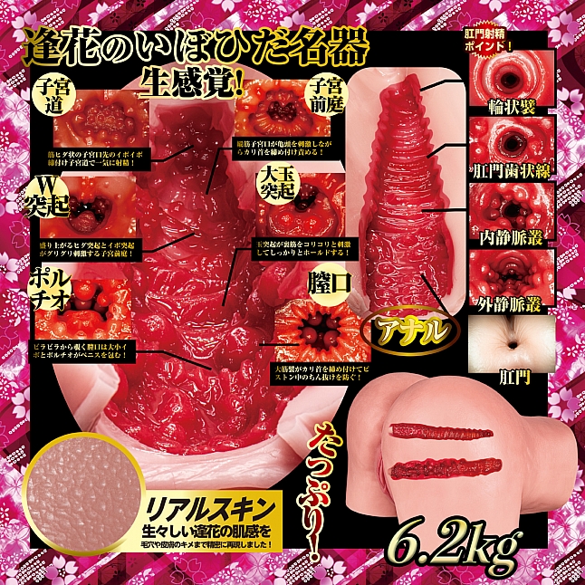 18DSC,Sex Toys,NPG - Aika Yamagishi Gokujo Namagoshi Ultimate Hips,4562160138765
