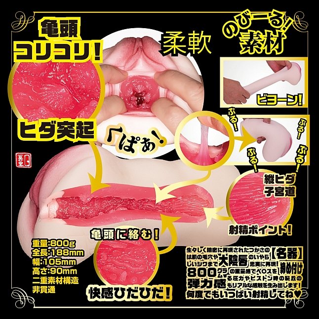 18DSC,成人用品,NPG - 新 名器之証明 No.003 葵司 (葵つかさ),4562160138987