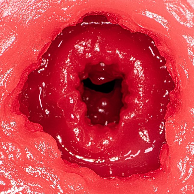 18DSC,Sex Toys,NPG - Julia Complete Replica of a Mature Pussy