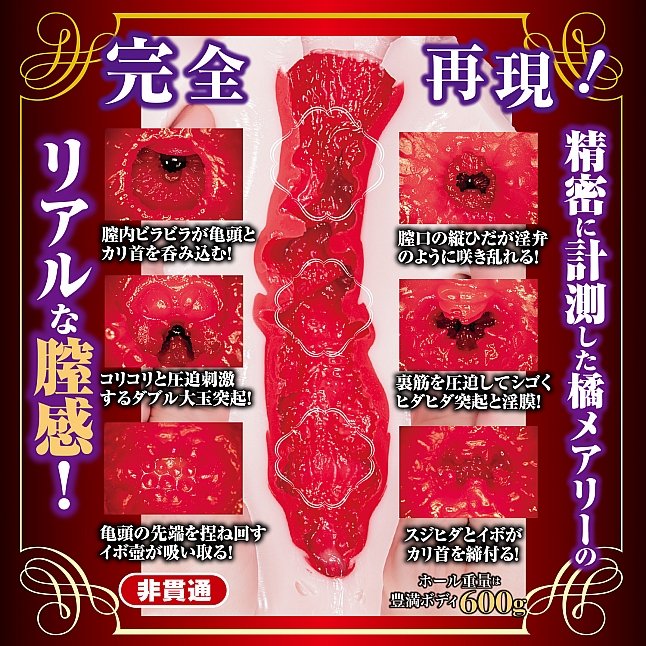 18DSC,Sex Toys,NPG - Mary Tachibana Complete Replica of a Mature Pussy,4562160139502