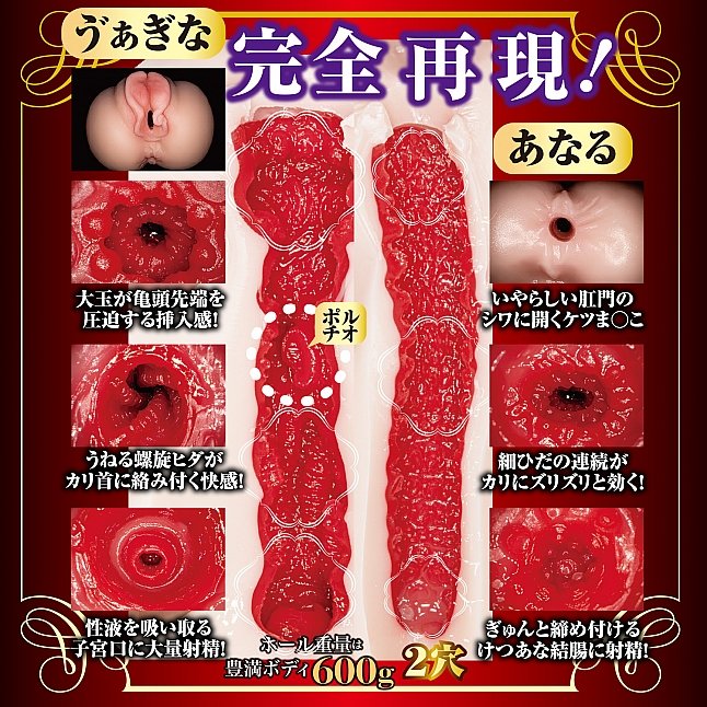18DSC,Sex Toys,NPG - Aika Yamagishi Complete Replica of a Mature Pussy and Anus,4562160139519