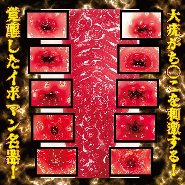 18DSC,成人用品,NPG - 名器覺醒 川越鈴子 (川越にこ),4562160139939