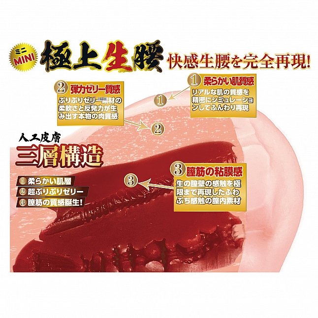 18DSC,成人用品,NPG - mini 極上生腰 森日向子,4570099420103