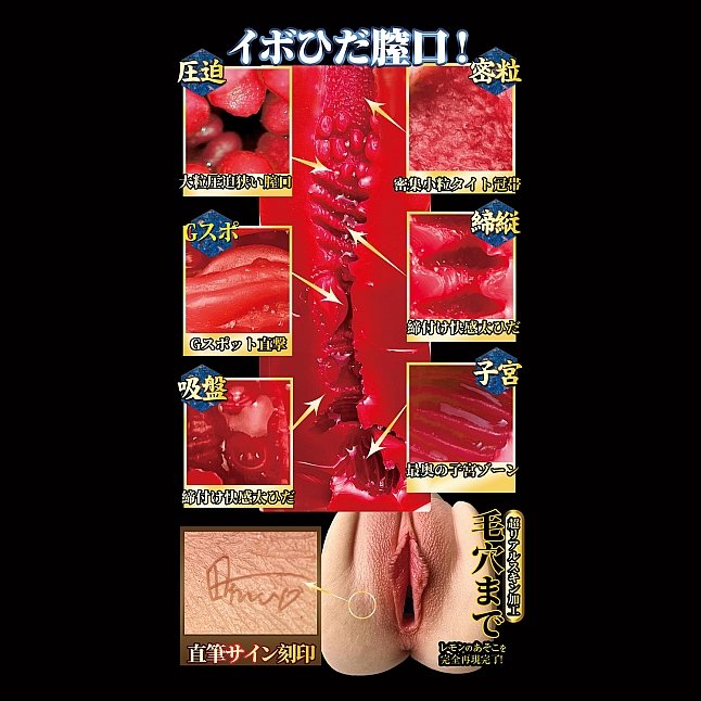 18DSC,成人用品,NPG - 名器創生2 田中檸檬 (田中レモン),4570099420110