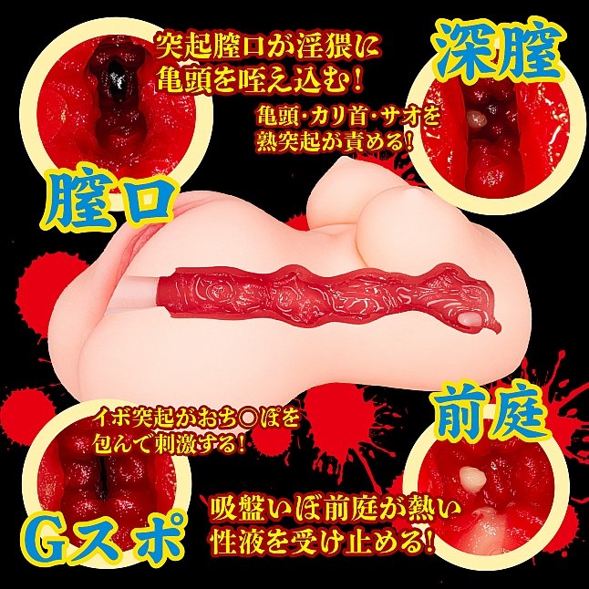 18DSC,成人用品,NPG - 被NTR之妻 抖M情慾 薰小姐,4570099420318