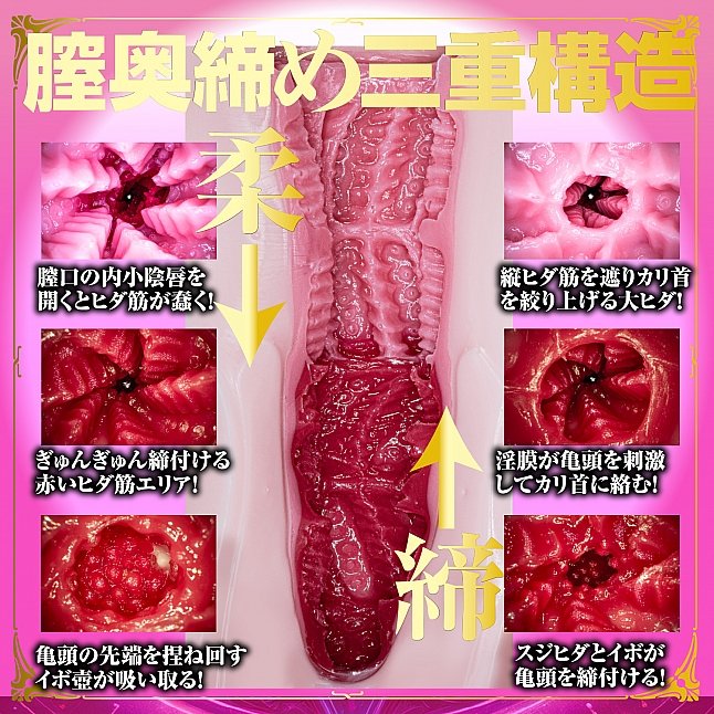 18DSC,成人用品,NPG - 魅魔降臨 松本一花 (あたシコ サキュバス 松本いちか),4570099420387