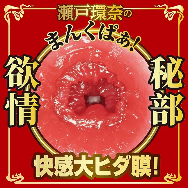 18DSC,成人用品,NPG - 名器之証明 No.016 特別版 瀬戶環奈,4570099420479