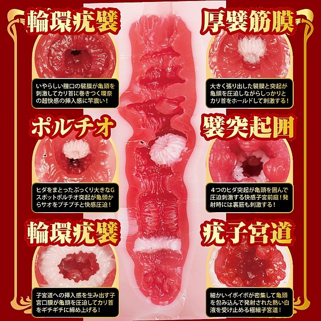 18DSC,成人用品,NPG - 名器之証明 No.016 特別版 瀬戶環奈,4570099420479