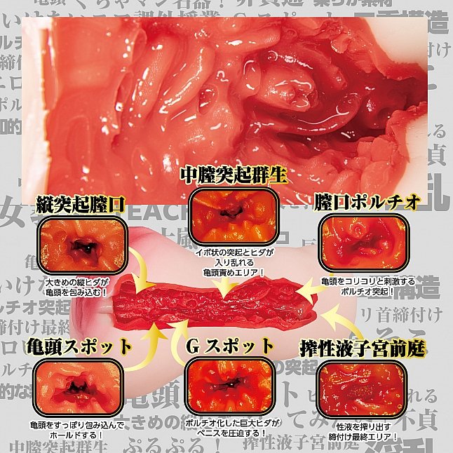 18DSC,成人用品,NPG - 很想強姦新來的女教師 五十嵐夏 (五十嵐なつ),4562160139052
