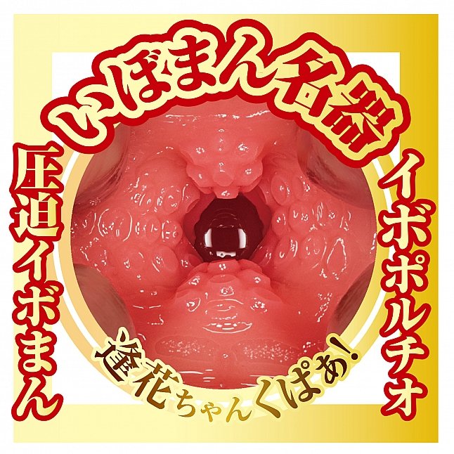 18DSC,Sex Toys,NPG - AV Mini Meiki Aika Yamagishi,4562160139069