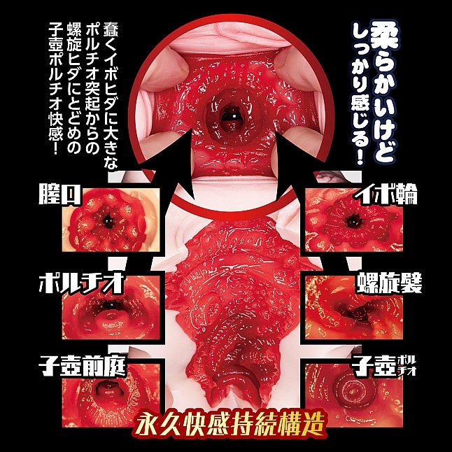 18DSC,成人用品,NPG - 淫亂保健室 保健醫生,4562160139366