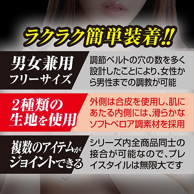 A-One - SM藝術 Joint 012 鐵鏈,18DSC 成人用品店,4582236093415
