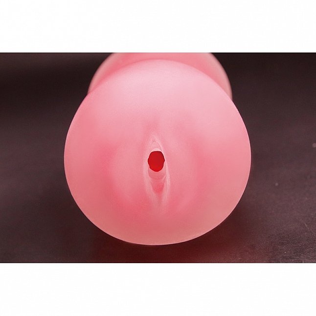 18DSC,成人用品,Tamatoys - 打敗魔王後在異世界開雜貨店最後轉型成人用品店 魅魔篇 (限定特別版),4589717870084