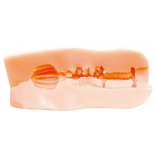 18DSC,成人用品,Tamatoys - 異世界轉生後使用催眠魔法成為後宮王 (モテない男は異世界転生して唯一覚えた催眠魔法でエルフの極上名器を堪能する),4589717873290