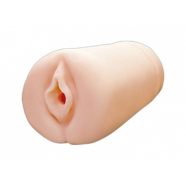 18DSC,成人用品,Tamatoys - 魅魔的終極陰道，令所有男性為之傾倒 (全ての雄を虜にする淫魔サキュバスの極上名器),4589717878882