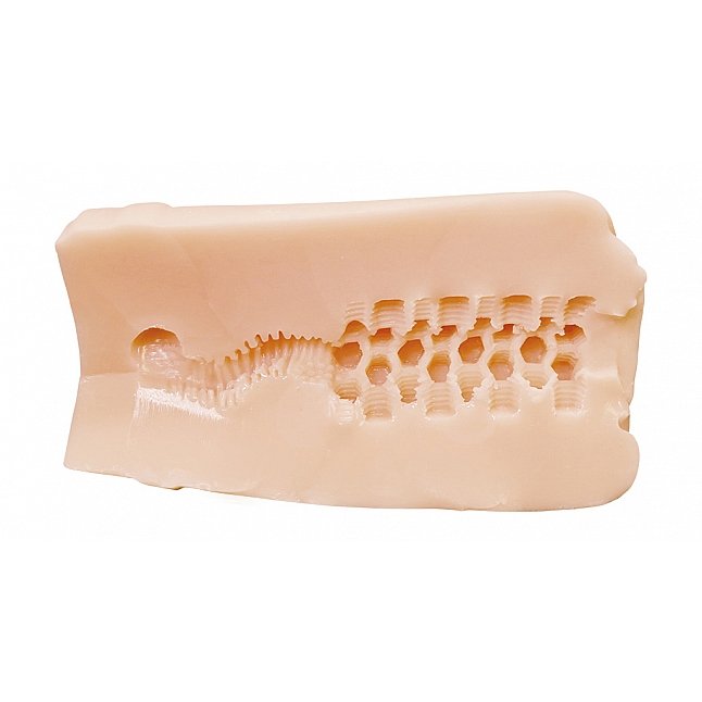 18DSC,成人用品,Tamatoys - 魅魔的終極陰道，令所有男性為之傾倒 (全ての雄を虜にする淫魔サキュバスの極上名器),4589717878882
