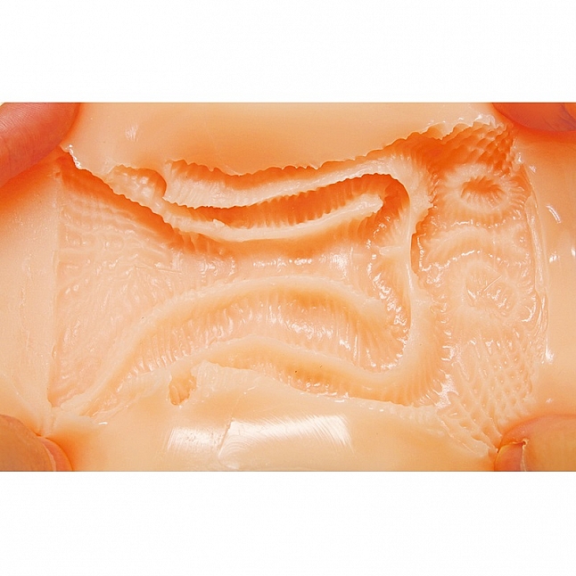 18DSC,成人用品,Tamatoys - 大人的教師 合歡垣天音 (あまねのあな 合歓垣天音),4589717869101