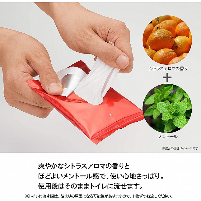 Tenga - VIO 男性私密清潔濕紙巾 10片裝,18DSC 成人用品店,4570030972654