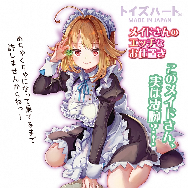 18DSC,成人用品,Toys Heart - 懲罰色色的女僕 (メイドさんのエッチなお仕置き),4526374370045