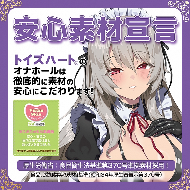 18DSC,成人用品,Toys Heart - 淫蕩女僕 絕對服從命令的性愛 (メイド淫メイド 絶対服従メイドのいいなりご奉仕),4526374670282