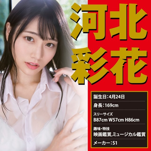 18DSC,成人用品,EXE - Japanese Real Hole 生 河北彩花 名器,4582593592323