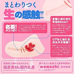 EXE - HON-MONO TACO EXE - HON-MONO TACO