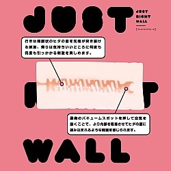 EXE - JUST RIGHT Wall 名器 EXE - JUST RIGHT Wall 名器