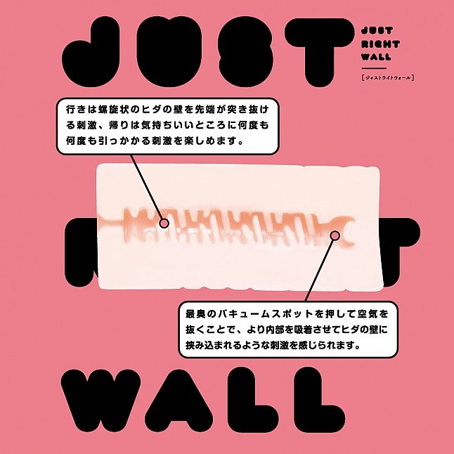 18DSC,成人用品,EXE - JUST RIGHT Wall 名器,4582616133274