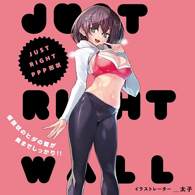 18DSC,成人用品,EXE - JUST RIGHT Wall 名器,4582616133274